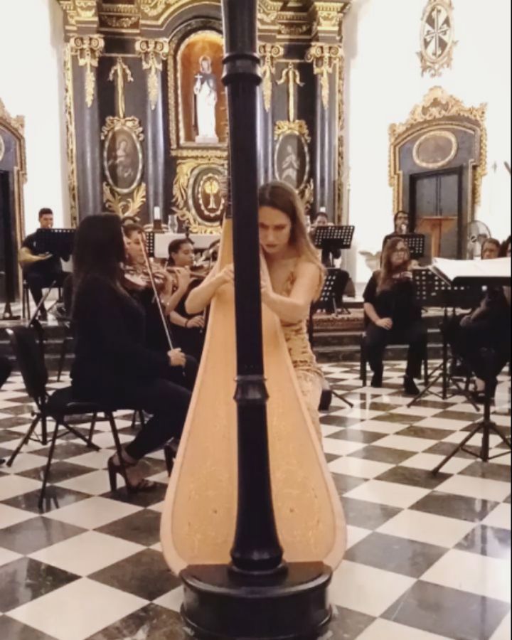 Here come a few snippets from Carlos Mejia’s new concerto for harp and orchestra, "Solstice Lunaire"!! 🤩🤗🌞
.

This is the 1st mvt cadenza, from our concert with the @cameratacaribensis in Santo Domingo two weeks ago! Carlos finished this concerto back in October, and this was the second performance of the piece, after our premiere in Colombia with the Orquesta Sinfonica de Caldas.

Endless thanks to the Camerata Caribensis for the invitation — what a delight it was to be back!! 🥰

Muchisimas gracias @sibelle_marquez por estas tomas!! .
.